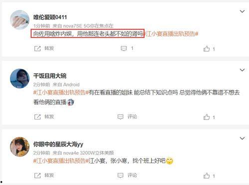 张小寒最新爆料向佐小说,张小寒独家爆料，揭开神秘爱情故事面纱